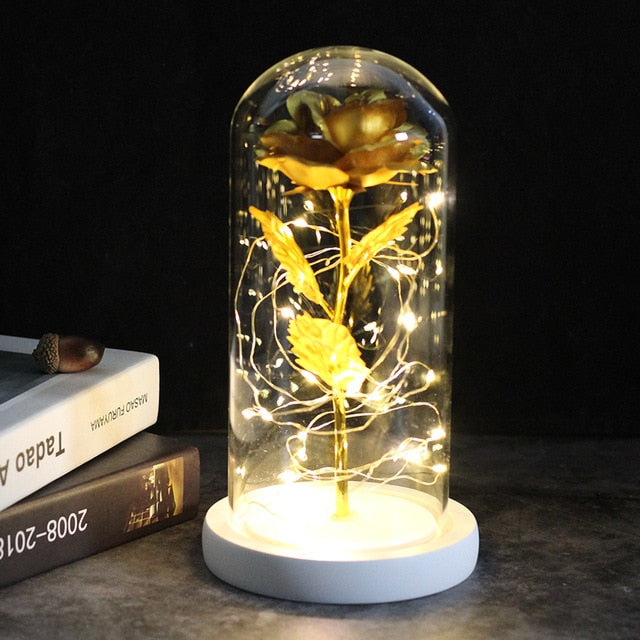 SALE Light Up Rose Domes