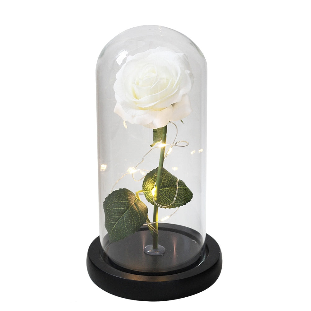 SALE Light Up Rose Domes